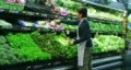 Man Facing Vegetables In Produce HD Footage