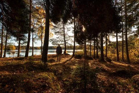 Man in fall forest Stock Photos
