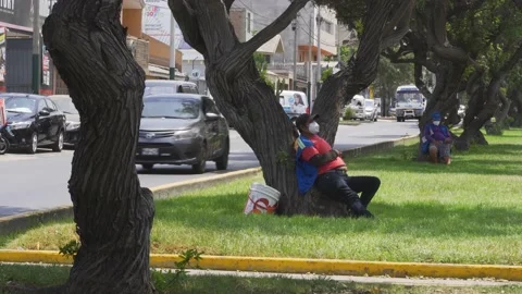 A man falling asleep leaning on a tree in the middle of the avenue Stock Footage 150301193