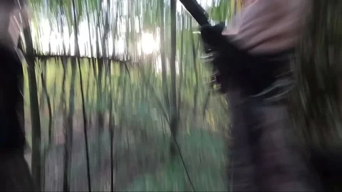 Man Falls 16ft Out of Tree Stand, Mercer County, Pennsylvania, USA - 14 Oct 2025 Stock Footage 318974556