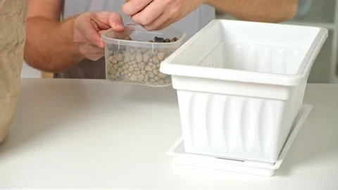 Man falls asleep in flower box of expanded clay. Gardening at home. Preparation Stock Footage 222016475