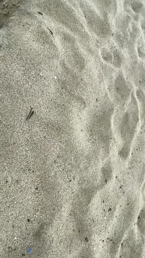 Man Falls Down Sandy Drop Off, Bucerias, Nayarit, Mexico - 15 Dec 2021 Stock Footage 313633649