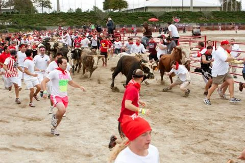 Man falls while running with the bulls in georgia Stock Photos