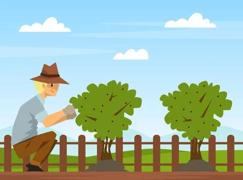 Man farmer caring of tree seedling in garden on farm cartoon vector Illustration