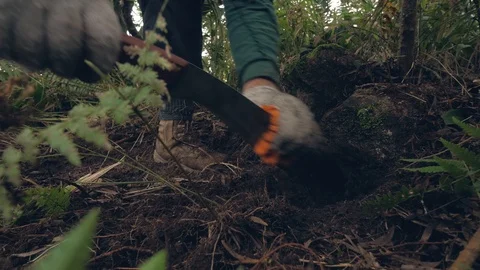 Man farmer digging soil and stone in the jungle. Faming and gardening concept. Stock Footage 118414755