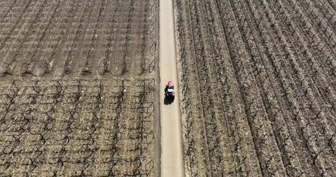 Man farmer  driving red tractor on road between farms. Video stock 264274801