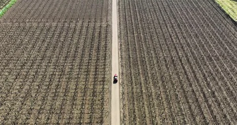Man farmer  driving red tractor on path in middle of brown soil Stock Footage 264276096