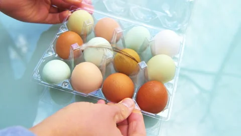 Man farmer hand placing on table heirloom heritage multicolored farm eggs dozen Stock Footage 165240974