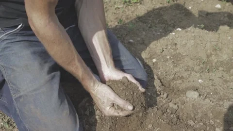 Man Farmer Hands Touching Ground Video stock 134262117