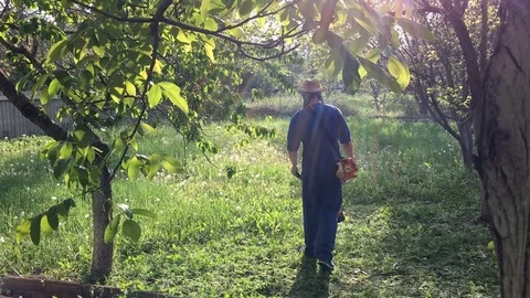 Man farmer mows the grass with a mower on nature Vidéo 108728148
