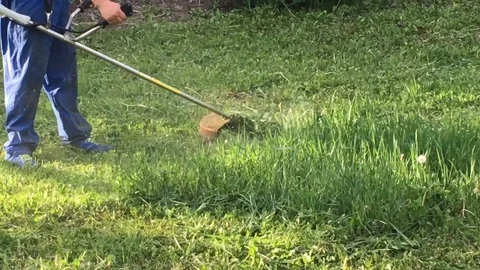 Man farmer mows the grass with a mower on nature Vídeo Stock 108728626