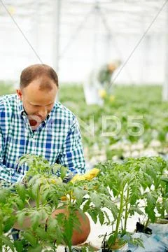 Man farmer Stock Photos