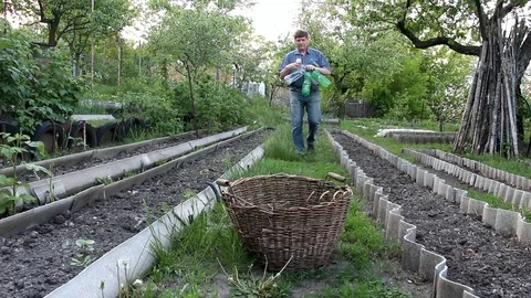 Man farmer puts plastic bottles in a basket and carries away Stock Footage 93276500