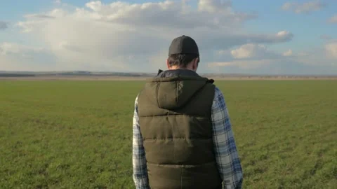 Man farmer red neck in a cap is walking on a green field. harvest agriculture Stock Footage 136459715
