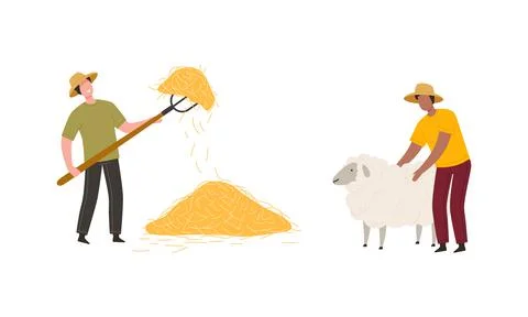 Man Farmer in Straw Hat Stroking Sheep and Gathering Hay with Pitchfork Vector Stock Illustration