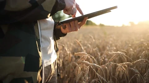 Man farmer with tablet in field of wheat. 動画素材 150949259