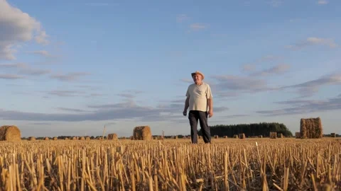 Man farmer walking through harvested wheat field with many haystacks Stock Footage 333568374