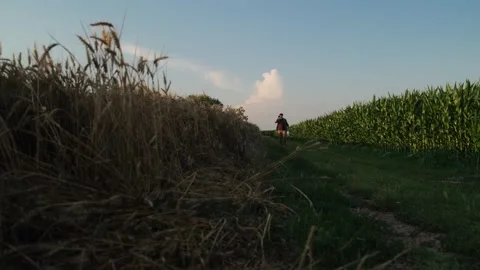 A man farmer walks through fields where corn and rye grow. Stockbeeldmateriaal 337891009