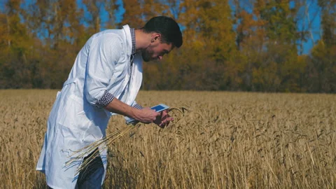 A man is a farmer working in the field. Stock Footage 97323879