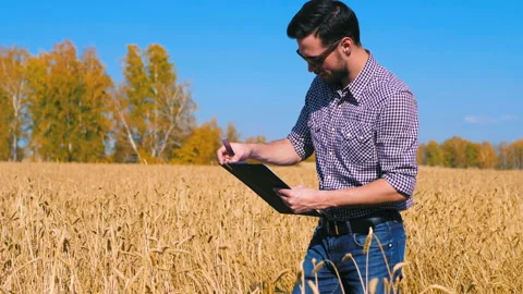 A man is a farmer working in the field. Stock Footage 97326254