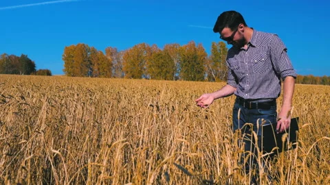 A man is a farmer working in the field. Stock Footage 97326469