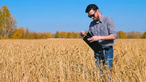 A man is a farmer working in the field. Stock Footage 97326473