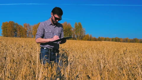 A man is a farmer working in the field. Stock Footage 97326915
