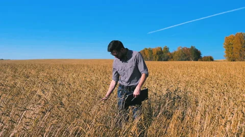 A man is a farmer working in the field. Stock Footage 97327249