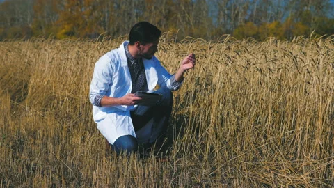 A man is a farmer working in the field. Stock Footage 97327878