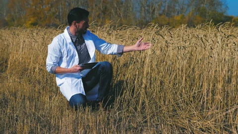 A man is a farmer working in the field. Stock Footage 97327944