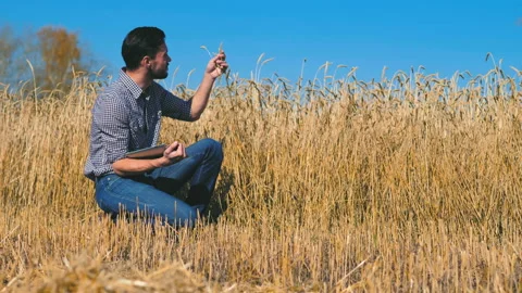 A man is a farmer working in the field. Stock Footage 97328091