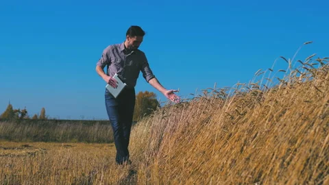 A man is a farmer working in the field. Stock Footage 97328092