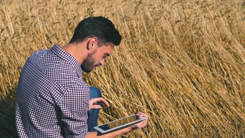 A man is a farmer working in the field. Stock Footage 97328304
