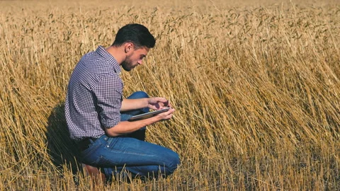 A man is a farmer working in the field. Stock Footage 97328369