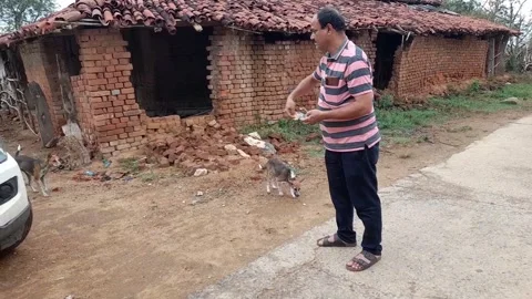 A man is feeding biscuits to two hungry dogs on the roadside in India 스톡 동영상 241253666