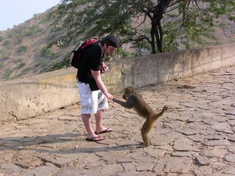 Man Feeding Monkey Some Nuts in India Foto stock