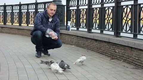 Man feeding pigeons on the bridge. Video stock 70391710