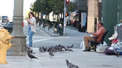 Man Feeding Pigeons Stock-Footage 67639006