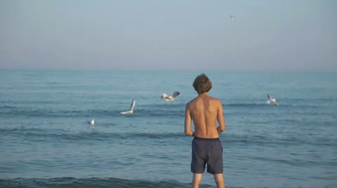 Man feeding sea gulls daytona beach florida Stock Footage