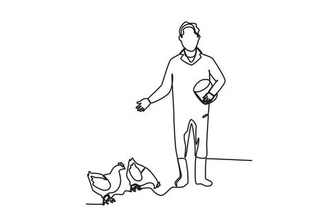 A man feeds cattle Illustrazione stock