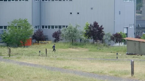 A man feeds to chickens Video stock 204079033