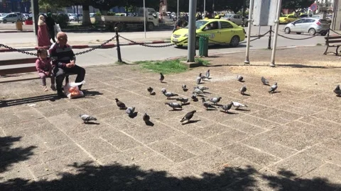A MAN FEEDS DOVES IN THE CITY Stock Footage 152972233
