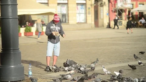 A Man feeds Pigeons with Bread in Wroclaw City Center Video stock 81085927