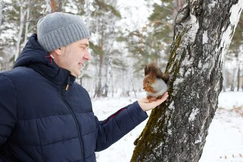 Man feeds squirrel while standing by tree in snowy forest during winter Photos