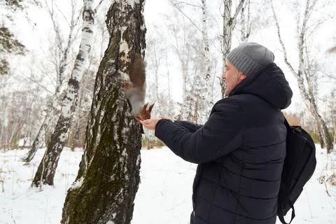 Man feeds squirrel while standing by tree in snowy forest during winter Stock Photos