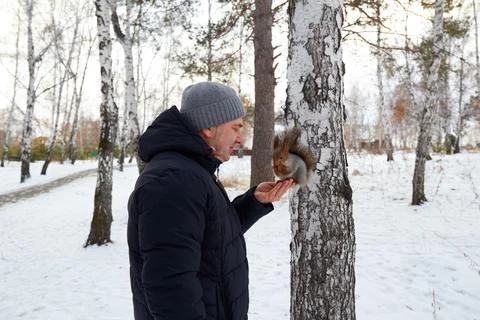 Man feeds squirrel while standing by tree in snowy forest during winter Photos