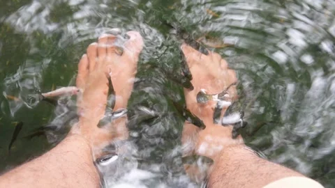 A man feet are undergoing fish therapy in a small pool Stock Footage 315190146