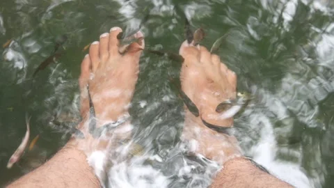 A man feet are undergoing fish therapy in a small pool Stock Footage 315190215