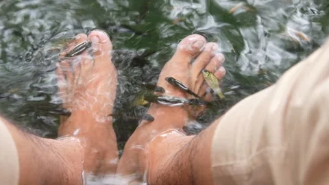A man feet are undergoing fish therapy in a small pool Stock Footage 315190239