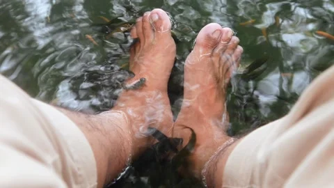 A man feet are undergoing fish therapy in a small pool Stock Footage 315190332